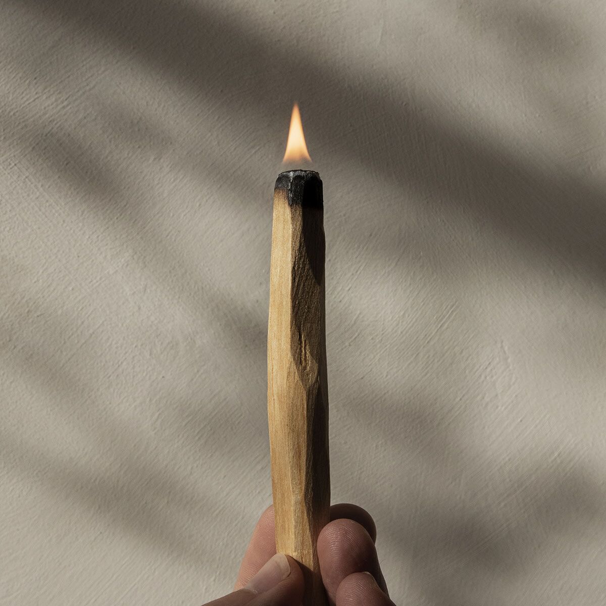 encens-palo-santo-finca-home-5 Bois de palo santo encens Finca Home